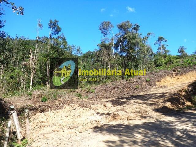 Área para Venda em Brusque - 4