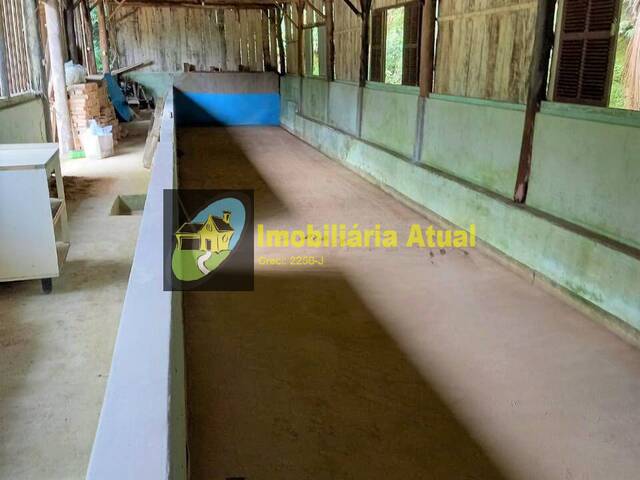 Terreno para Venda em Guabiruba - 5